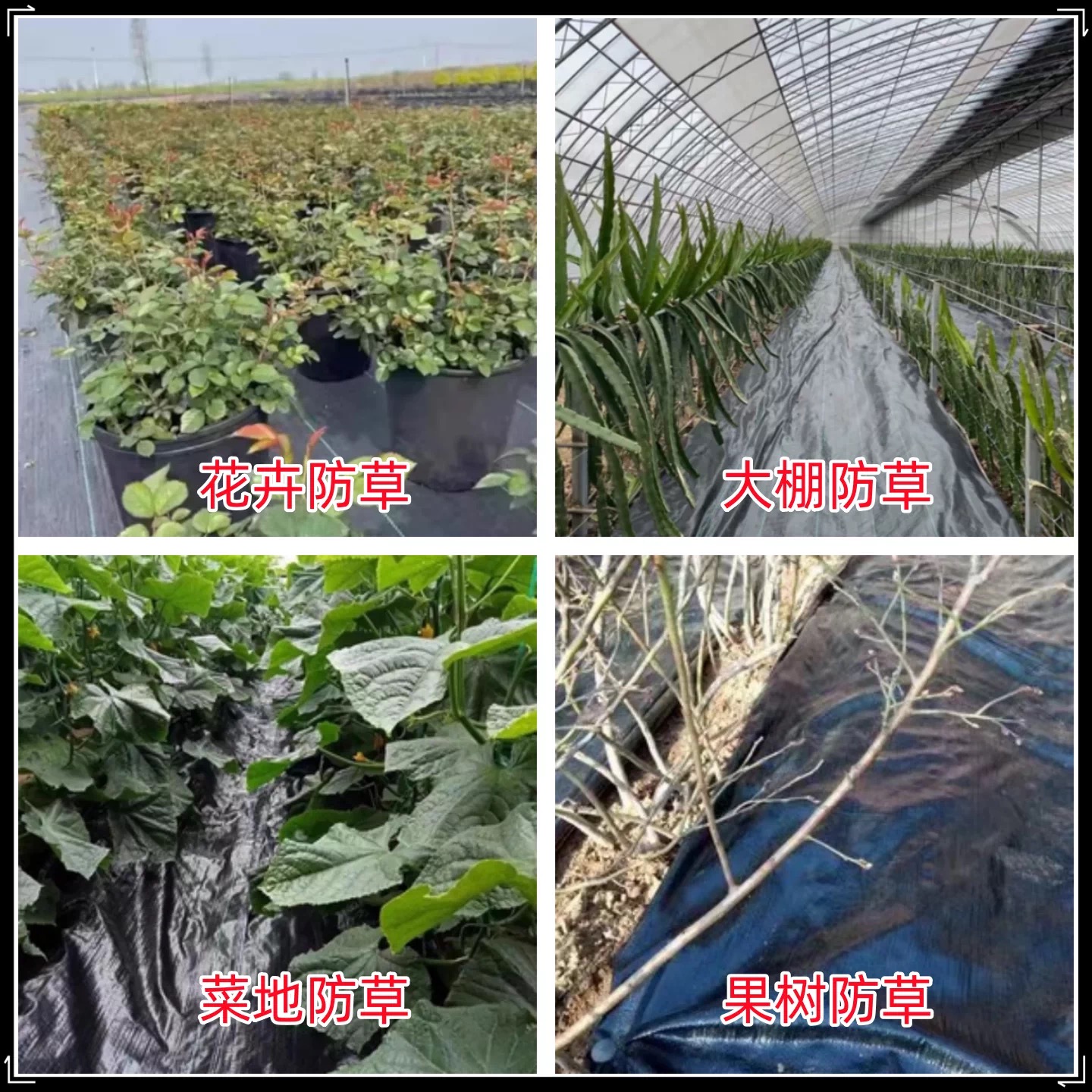 益广塑业有限公司（长春市办事处）