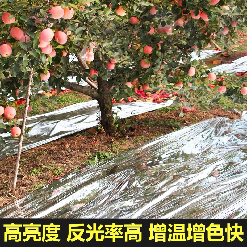 长春市工程膜果树反光膜 - 方案